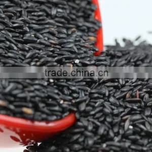 High Quality Organic Black Rice From China thumbnail-2