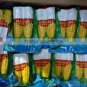 Twin Sweet Corn Cob In Vacuum Packing thumbnail-1