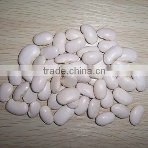 2015 Good Quality Large White Kidney Beans for Wholesale thumbnail-4