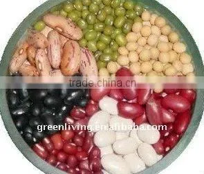 White and Black Kidney Bean thumbnail-1
