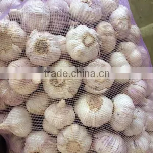 CHINA FRESH GARLIC thumbnail-2