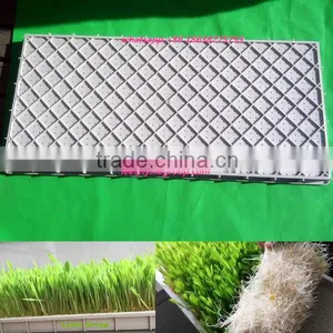 Hydroponics Multi Purpose Growing Tray thumbnail-1