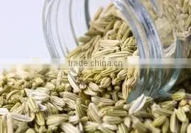 FENNEL SWEET OIL BP/ USP GRADE thumbnail-1