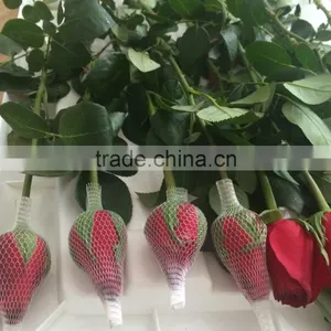 Natural Fresh Flower Fresh Rose thumbnail-2