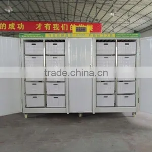 HOT! China Made Soya Bean Sprout Machine thumbnail-5