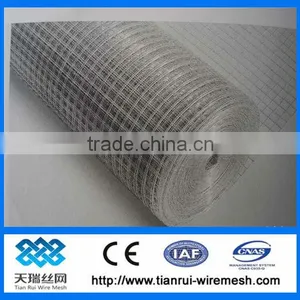 1/4" x 1/4" Galvanized Welded Wire Mesh ( Factory)/1 Inch Galvanized Welded Wire Mesh thumbnail-1
