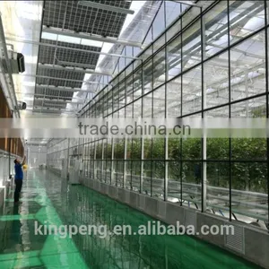 Venlo Tempered Glass/float Glass Greenhouse With Hydroponic Growing thumbnail-3