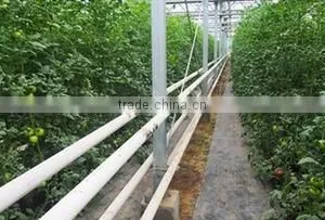 Vegetable Greenhouse thumbnail-3