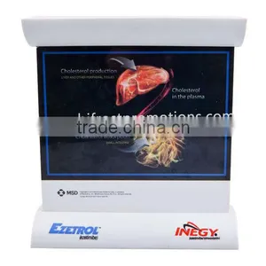 Blood Vessel Model, Dynamic Vascular Model thumbnail-2