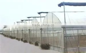 Greenhouse With Outside Shading System thumbnail-1