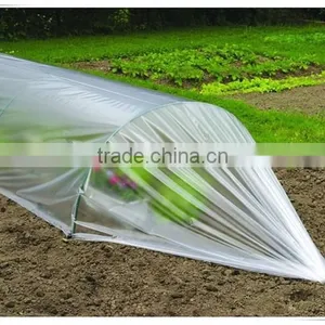 100% Raw Material uv Protection Agricultural Greenhouse Film for Sale thumbnail-1