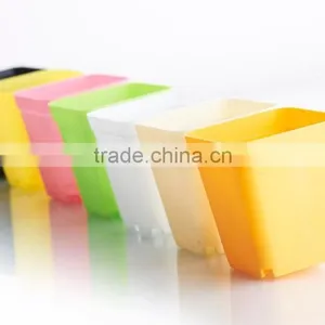 Plastic Colorful Small Square Flower Pots Without Pallet -3 Inch thumbnail-1