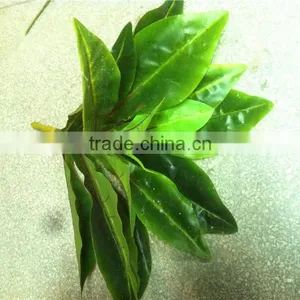 60cm or 24inches Height Artificial Small pe Grass for Green Wall E04 1019 thumbnail-6