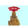 Gate Valve,brass Gate Valves of V23-001 thumbnail-1