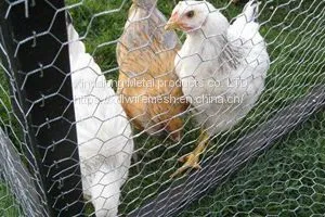 Chicken Wire Netting thumbnail-1
