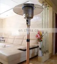 Stainless Steel Waterproof Decorative Gas Heaters thumbnail-3