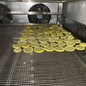 Lemon Dryer (slice Drying) thumbnail-2