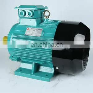 3 Phase Ac Induction Motor Electric Motor 11kw 15kw 18.5kw 22kw 30kw 37kw 110kw 132kw 160kw 355kw thumbnail-2