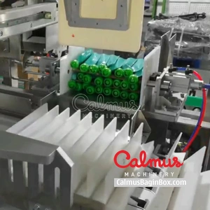 Carton Packaging Machine for Doypack Pouches thumbnail-1