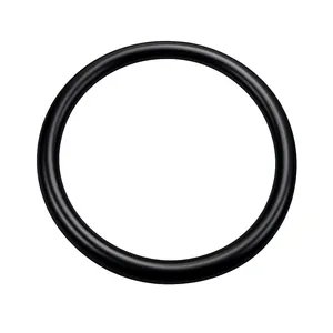 CH-PG2000+Hsp Spring Energized Seal | High Temperature PTFE Shaft & Piston Seal thumbnail-1