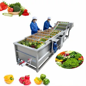 Automatic Commercial Fruit and Vegetable Bubble Washer Large-Scale Multifunctional Cleaning Equipment and Processing Line Dryer Cutting Machine thumbnail-1