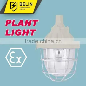BAD51-200X Flameproof Explosion Proof Light thumbnail-1