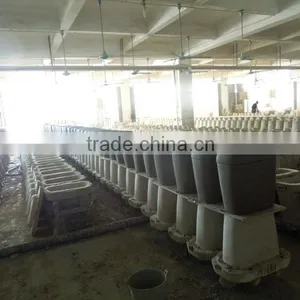 X-trap Gravity Flushing P-trap 180mm Sale Toilet Accessory thumbnail-4