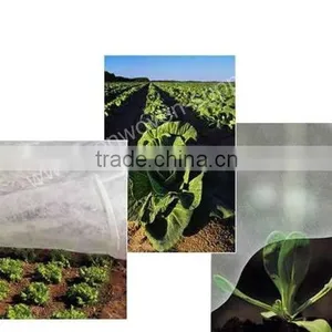 Non-woven Landscape Ground Cover Supplier thumbnail-2