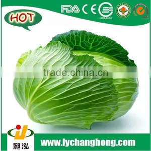 [Hot Sale] Cabbage/red Cabbage thumbnail-1