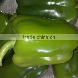 Fresh Capsicum - Special Price - High Quality thumbnail-1