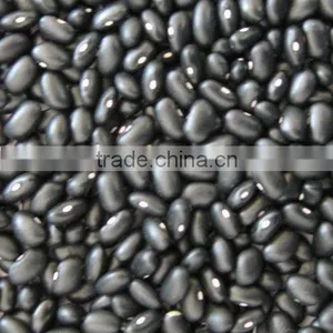 Black Kidney Bean thumbnail-1