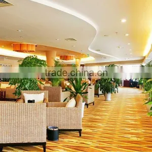 Luxury 5 Star Hotel Carpet, Lobby Carpet H-24 thumbnail-1