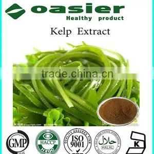 100% Natural Wakame Kelp Extract Cas No.:3351-86-8 thumbnail-1