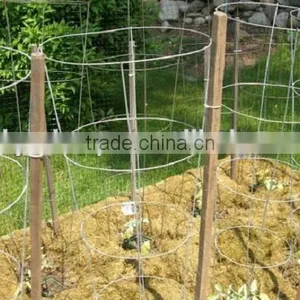 Golden Supplier Sell Tomato Spiral Stake Indoor Plant Support thumbnail-2
