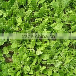 Plastic Bird Protection Net thumbnail-1