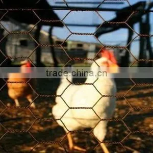 Professional Lowest Price ' Galvanized Hexagonal Wire Netting thumbnail-3