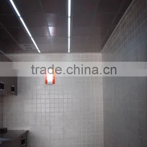 Aluminum Ceiling thumbnail-1