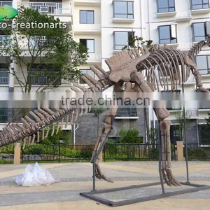 High Simulation Fiberglass Skeleton Model of Dinosaur thumbnail-1