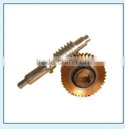 Worm & Worm Wheel Gears thumbnail-1