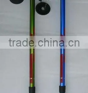 Winter Walking Stick thumbnail-1