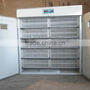 528pcs Full Automatic Cheap Incubators/incubator Chicken Egg for Sale/chicken Incubators for Sale thumbnail-4