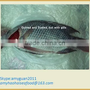 Frozen Gutted Scaled Tilapia thumbnail-1