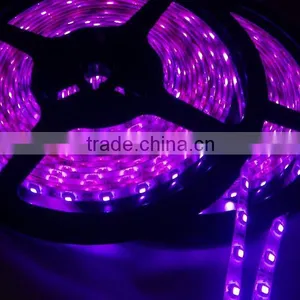 Color Changing Strip 5m 12v 24v Waterproof LED Strip With Tape thumbnail-1