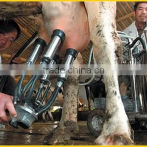 New Style Cow Milking Machine for Sell thumbnail-2