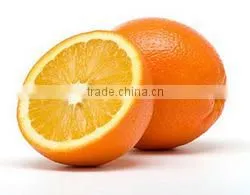 GOOD QUALITY Fresh Naval and Valencia Oranges thumbnail-1