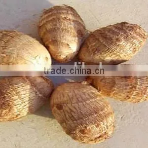 2015 CHINA NEW TARO thumbnail-2