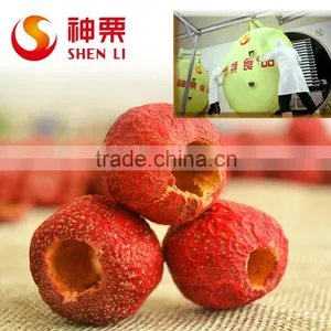 Freeze Dried Fruit Powder,Freeze Dried Hawthorn Berry Powder thumbnail-4