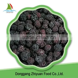 High Quality Organic Black Berries thumbnail-1
