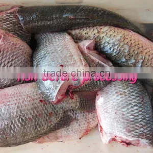 High Quality Low Price Medium Size Fish Salmon Fillet Cut Cutting Machine thumbnail-5