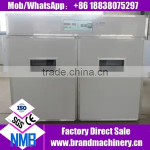 Best Selling Egg Incubator in Dubai thumbnail-1